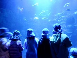 水族館2