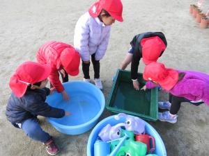 タライの水が凍っているね