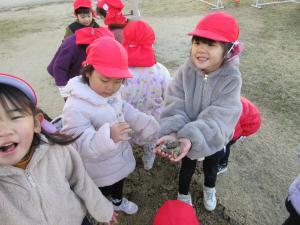 霜柱を見つけた子ども達