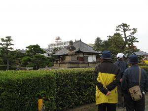 体性院