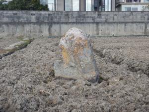 阿弥陀浄土院跡の庭園の景石と伝わる立石