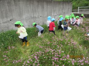 虫や草花を摘んでいます