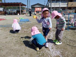 さくらの花びらを拾うよ