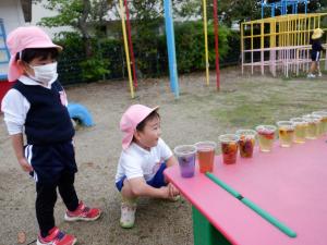 佐保幼稚園　色水遊び2