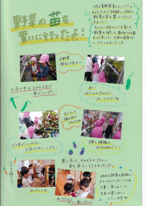 夏野菜の苗購入