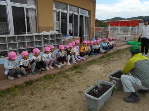 5歳児苗を植える様子