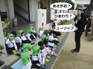 またまたクイズ