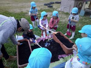 4歳児土入れのようす