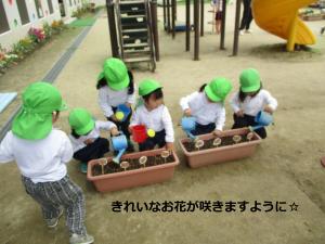 みず
