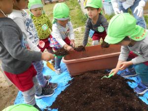 プランターに土入れをする3歳児