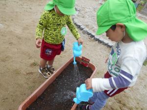 水やりをする3歳児
