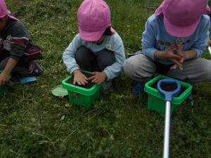 種を蒔く5歳児の様子