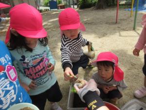 幼虫にご飯をあげよう