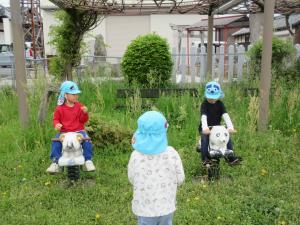 パンダに乗ってます