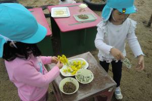 春の自然物を使って遊ぶ4歳児
