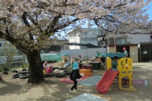 桜の下で体を動かして