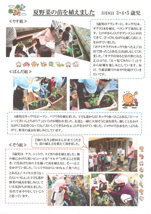 夏野菜