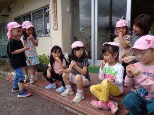いちごみんなでたべたよ