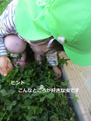 こんなところがすき