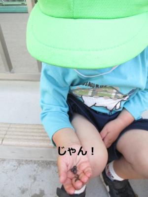 たくさん