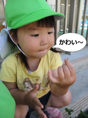 はじめてのだんごむし