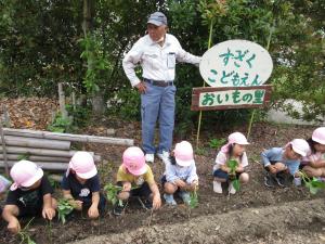 植えている様子