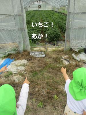 ここはいいにおい