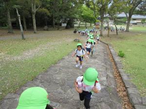 頂上を目指して歩きます