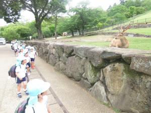 大きな角がかっこいいね