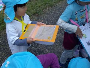 花を見つけて袋に入れている4歳児