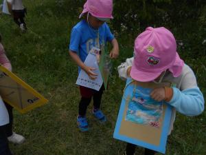 5歳児が見つけた自然を集めています