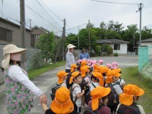 小学校を見たよ