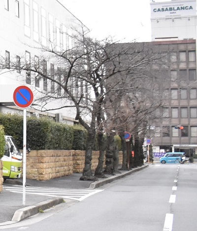 道