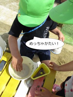 めっちゃかたい