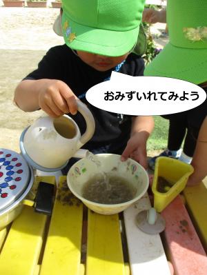 水いれてみる