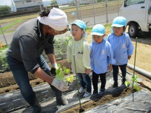 4歳　夏野菜　3