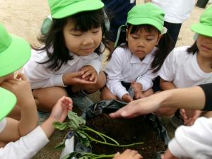 大切に植えようね