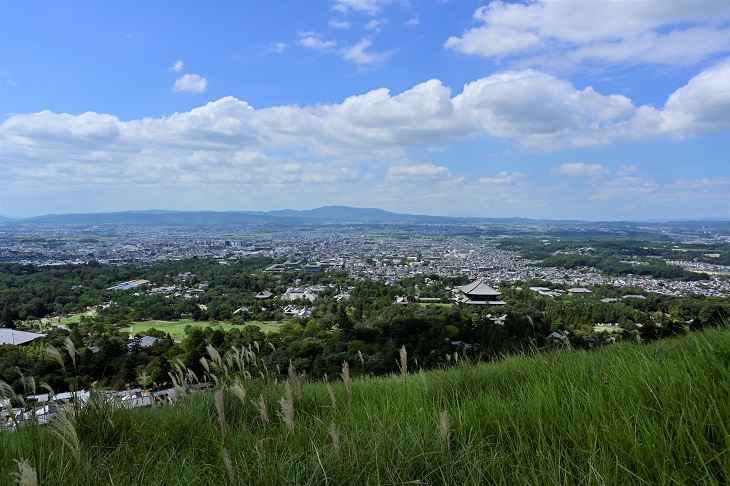 若草山からの眺望