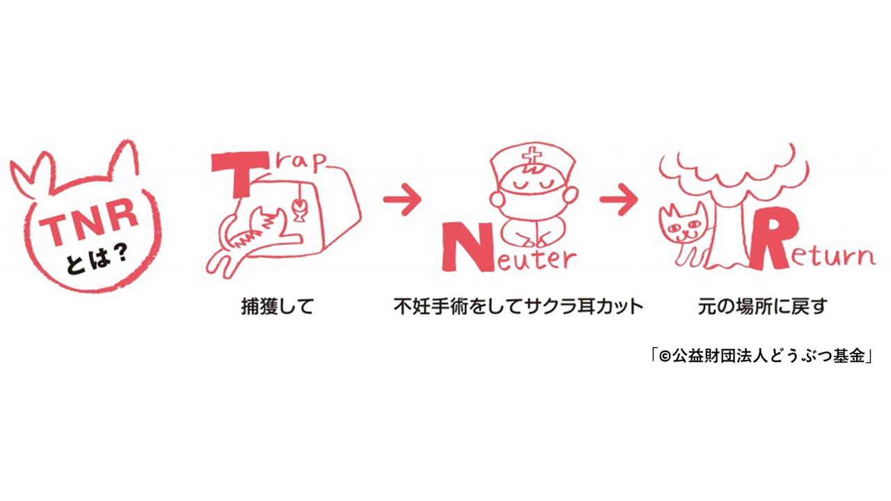 どうぶつ基金②