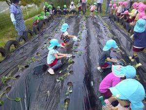 大きくなってねと言いながら水やりをしています