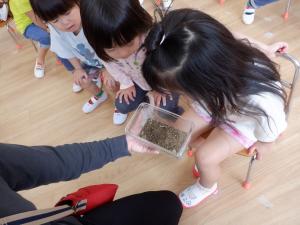 3歳児1