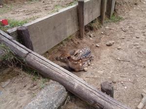 にじ組遠足