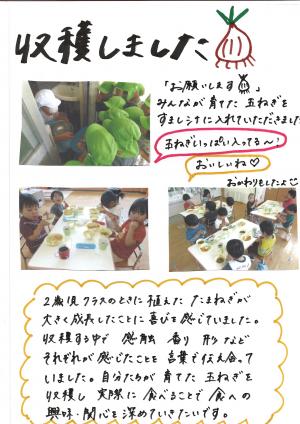 玉ねぎ