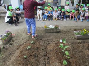 野菜の苗を植える説明を聞いている