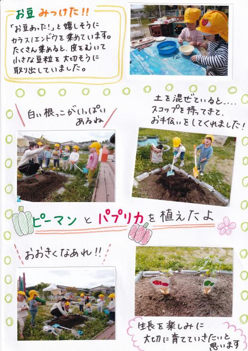 2歳児　5月　遊びの様子②