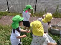 3歳遠足