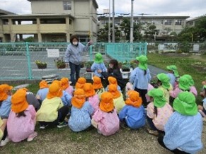 野菜の話