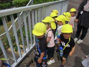 お散歩遠足5