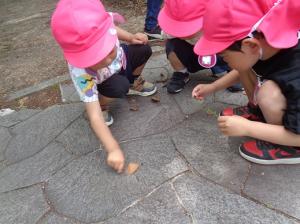 お散歩遠足10