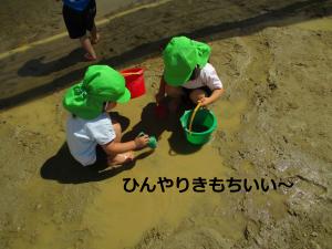 みず